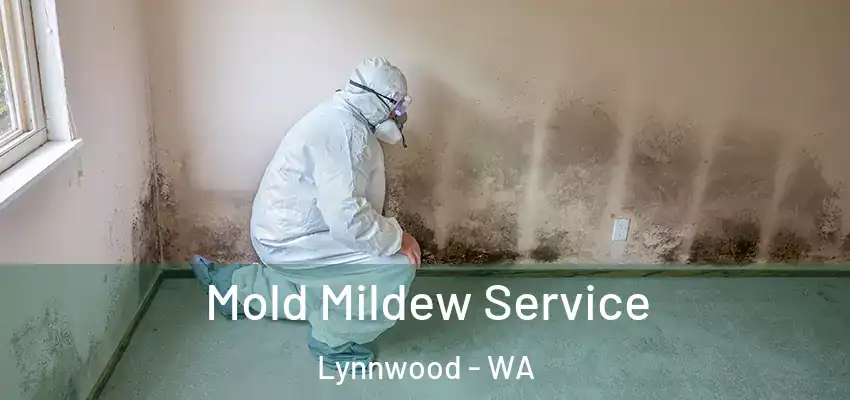  Mold Mildew Service Lynnwood - WA