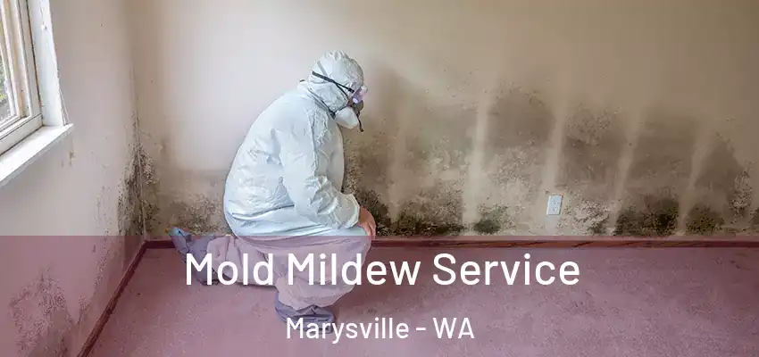  Mold Mildew Service Marysville - WA