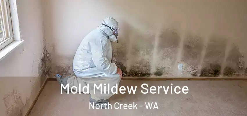  Mold Mildew Service North Creek - WA