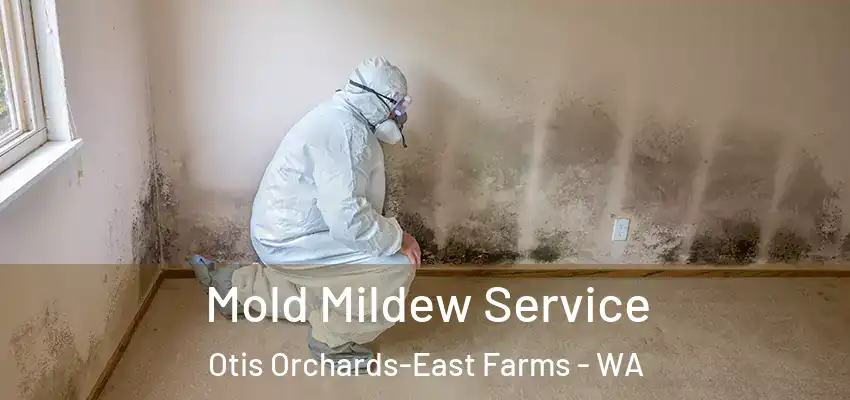  Mold Mildew Service Otis Orchards-East Farms - WA