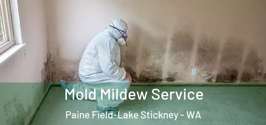  Mold Mildew Service Paine Field-Lake Stickney - WA