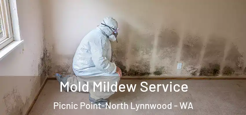  Mold Mildew Service Picnic Point-North Lynnwood - WA
