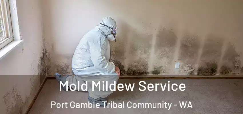  Mold Mildew Service Port Gamble Tribal Community - WA