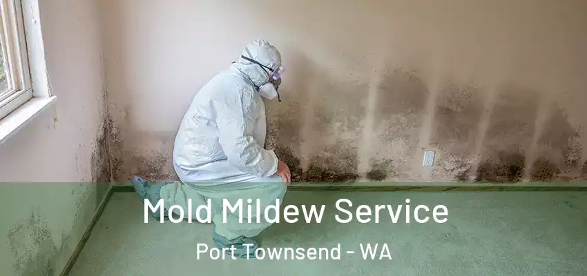  Mold Mildew Service Port Townsend - WA