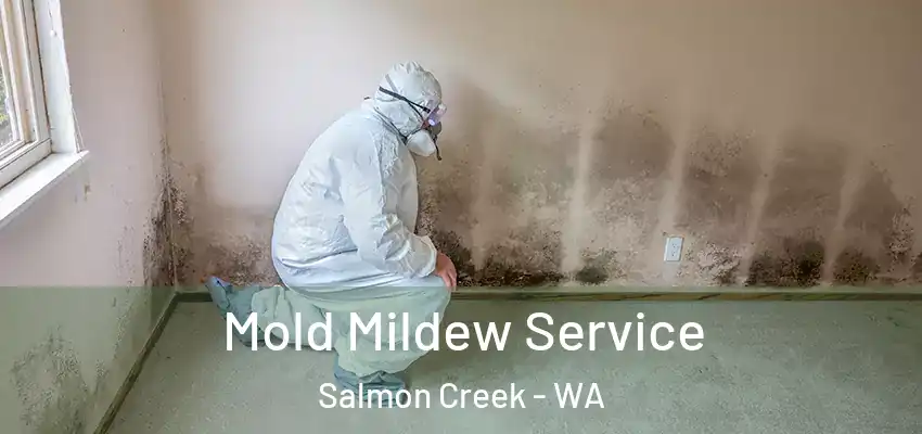  Mold Mildew Service Salmon Creek - WA