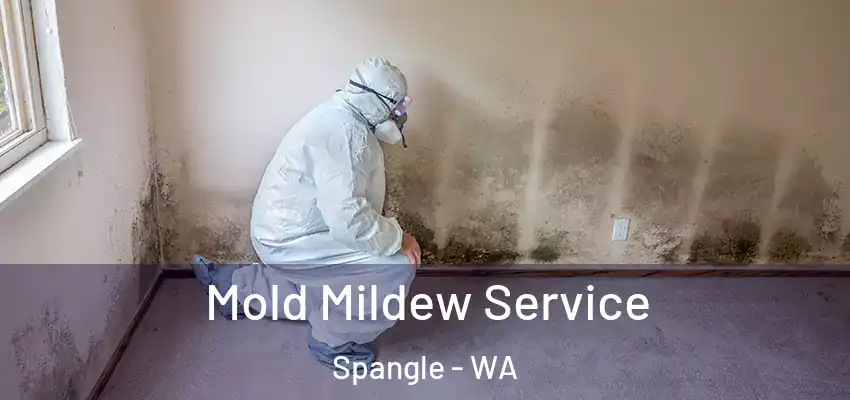 Mold Mildew Service Spangle - WA