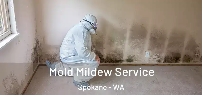  Mold Mildew Service Spokane - WA