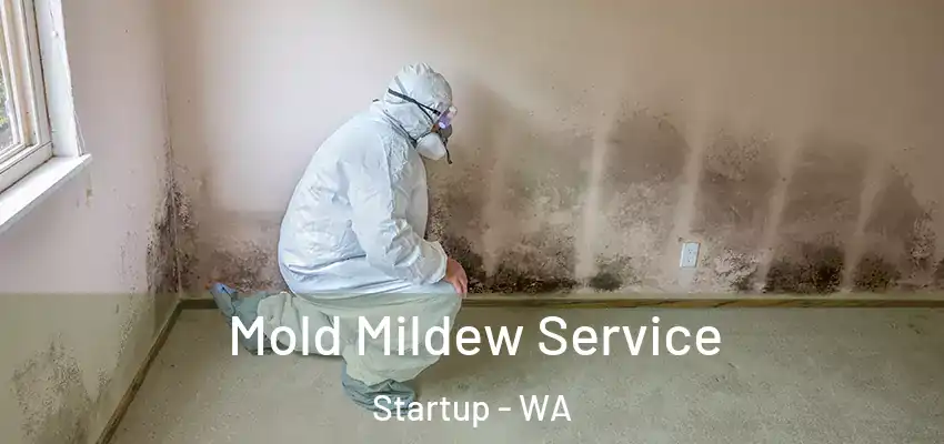  Mold Mildew Service Startup - WA