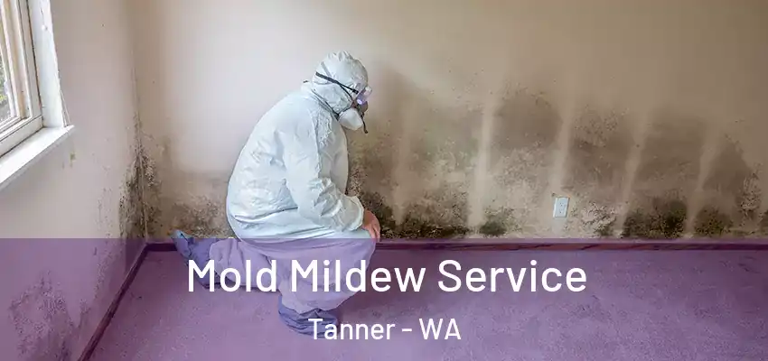  Mold Mildew Service Tanner - WA