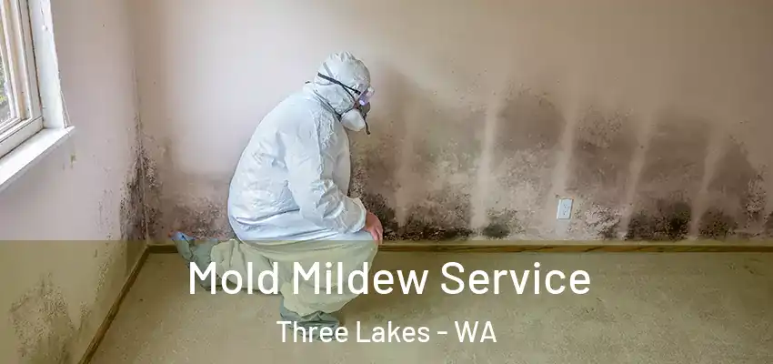 Mold Mildew Service Three Lakes - WA