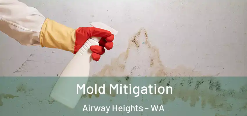  Mold Mitigation Airway Heights - WA
