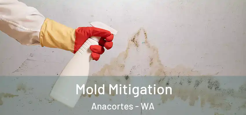  Mold Mitigation Anacortes - WA