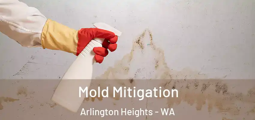 Mold Mitigation Arlington Heights - WA
