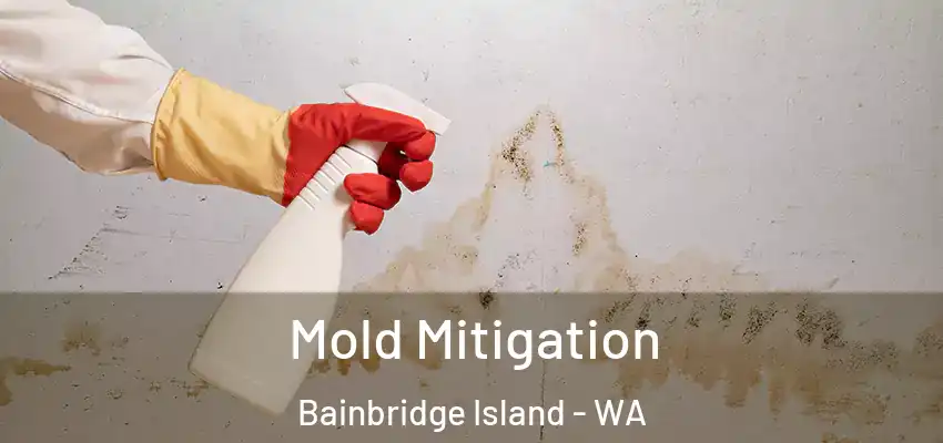 Mold Mitigation Bainbridge Island - WA
