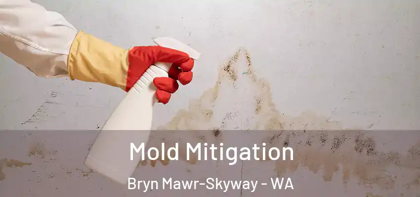  Mold Mitigation Bryn Mawr-Skyway - WA