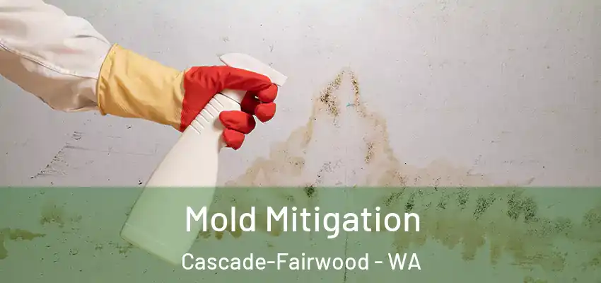  Mold Mitigation Cascade-Fairwood - WA