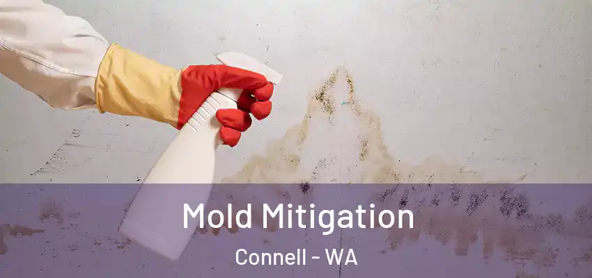  Mold Mitigation Connell - WA