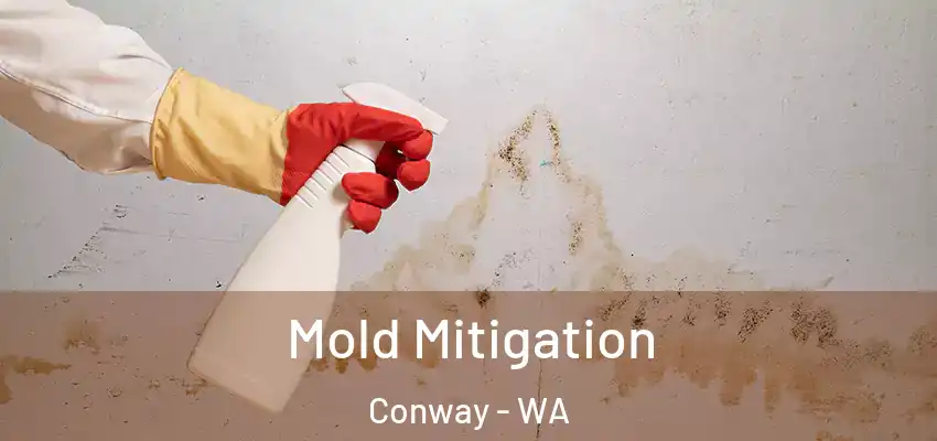  Mold Mitigation Conway - WA