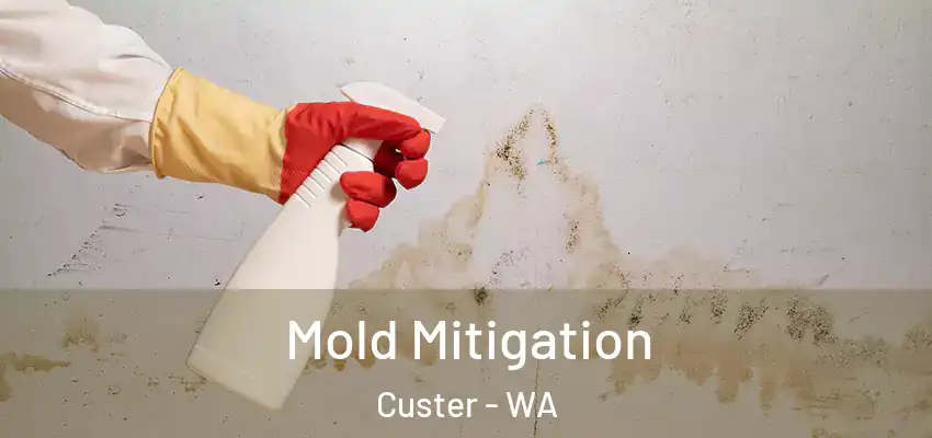  Mold Mitigation Custer - WA