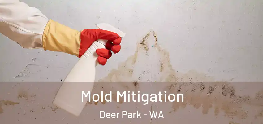  Mold Mitigation Deer Park - WA