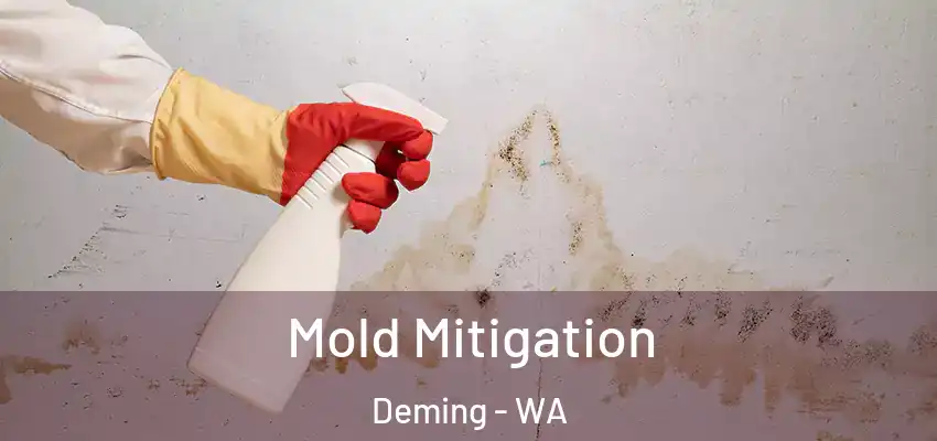  Mold Mitigation Deming - WA