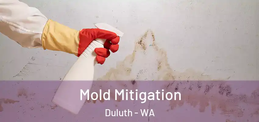  Mold Mitigation Duluth - WA