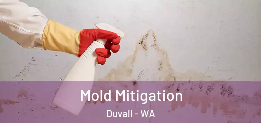  Mold Mitigation Duvall - WA