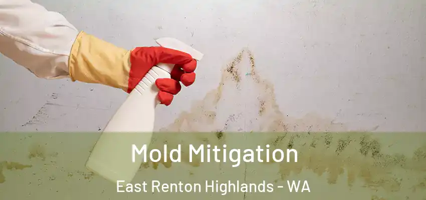  Mold Mitigation East Renton Highlands - WA