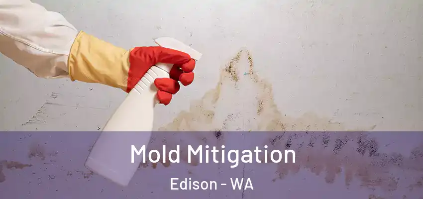  Mold Mitigation Edison - WA