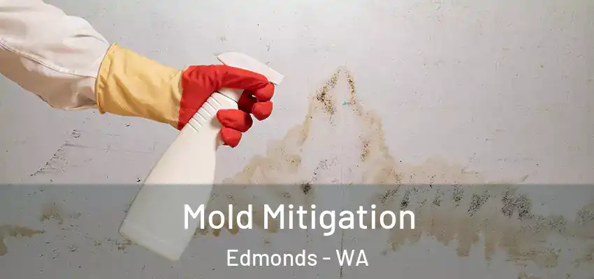  Mold Mitigation Edmonds - WA