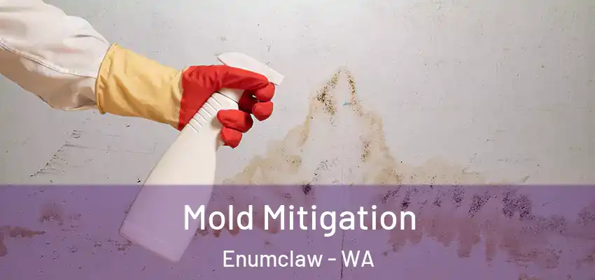  Mold Mitigation Enumclaw - WA
