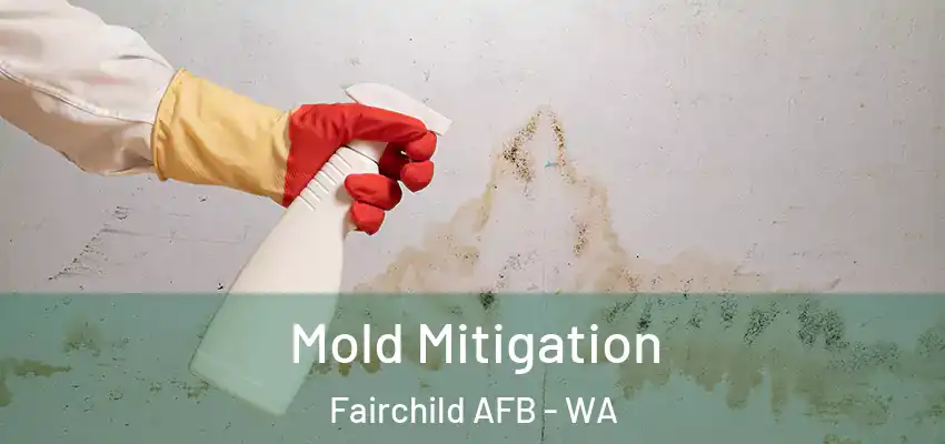  Mold Mitigation Fairchild AFB - WA