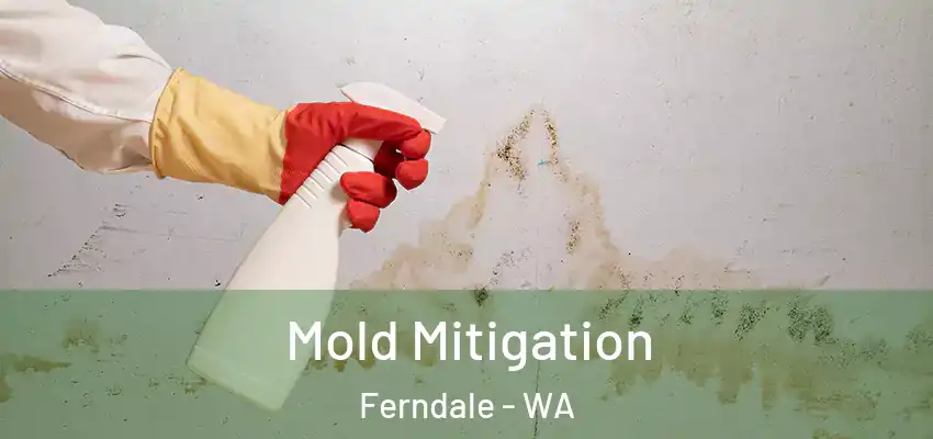 Mold Mitigation Ferndale - WA