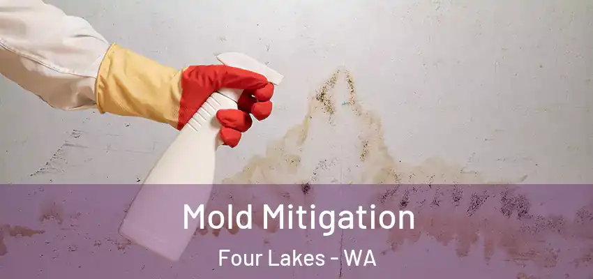  Mold Mitigation Four Lakes - WA