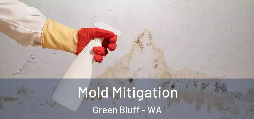  Mold Mitigation Green Bluff - WA