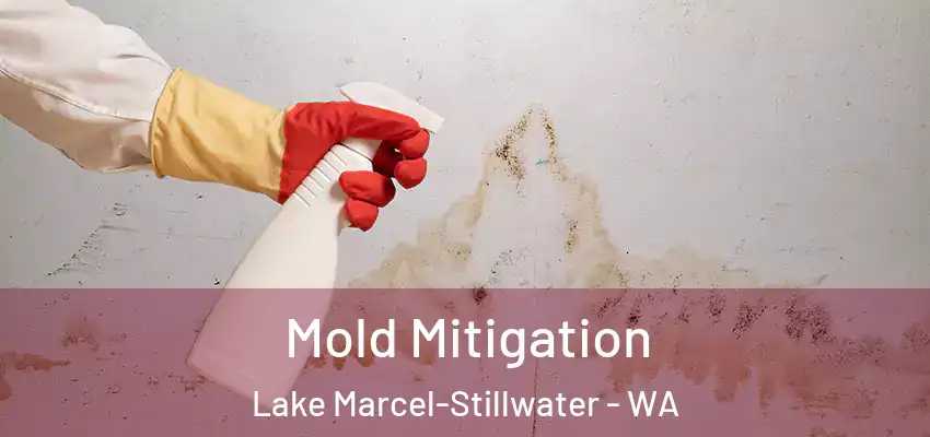  Mold Mitigation Lake Marcel-Stillwater - WA