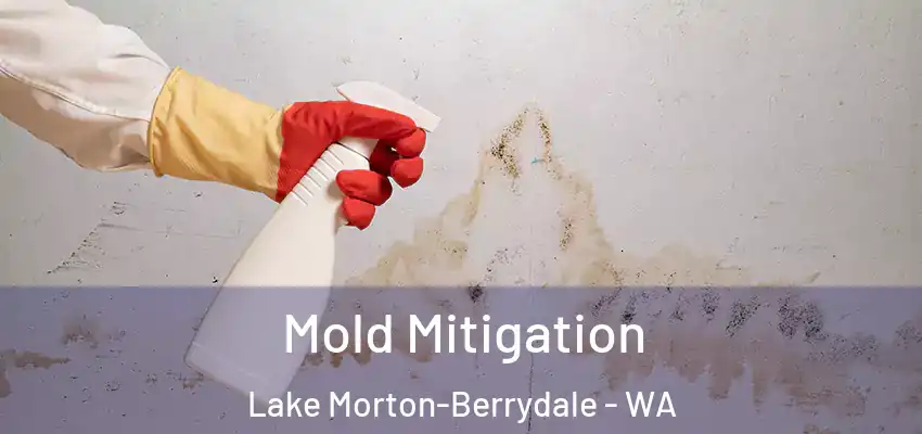  Mold Mitigation Lake Morton-Berrydale - WA