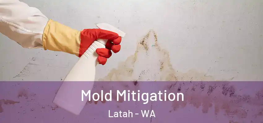  Mold Mitigation Latah - WA