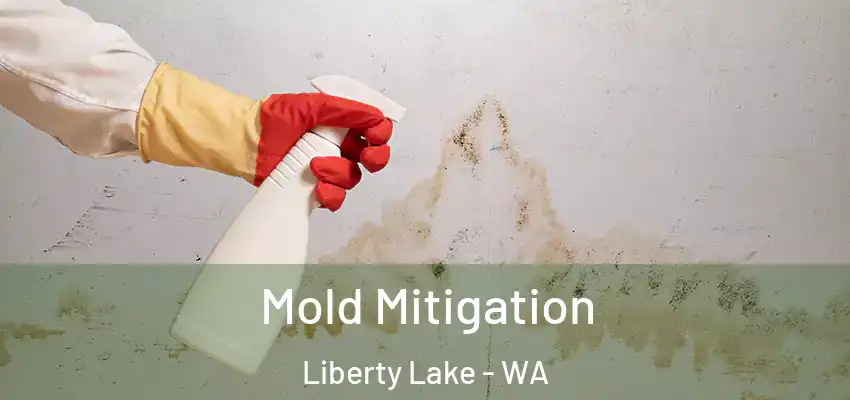  Mold Mitigation Liberty Lake - WA