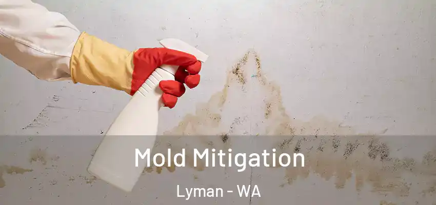  Mold Mitigation Lyman - WA