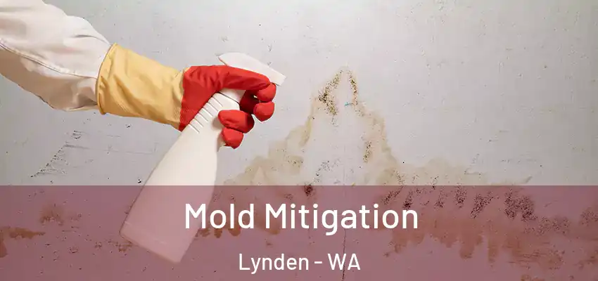  Mold Mitigation Lynden - WA