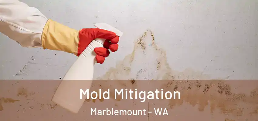  Mold Mitigation Marblemount - WA
