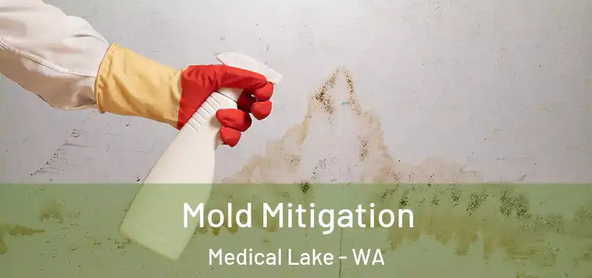  Mold Mitigation Medical Lake - WA