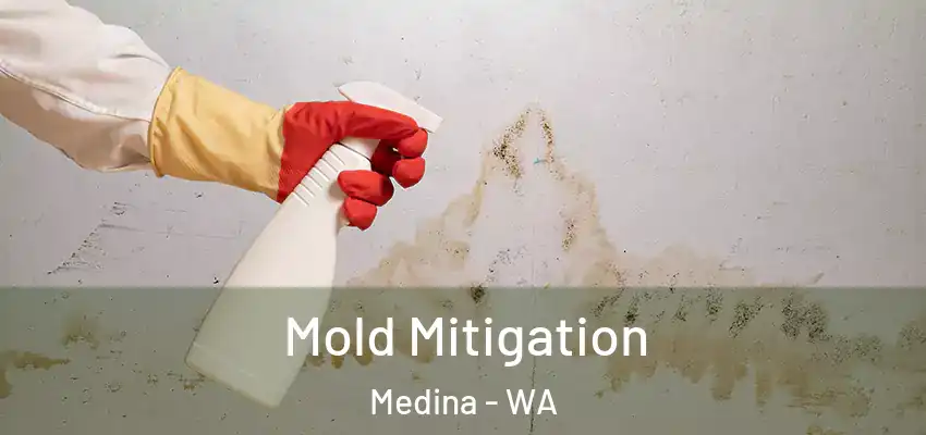 Mold Mitigation Medina - WA
