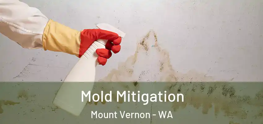  Mold Mitigation Mount Vernon - WA