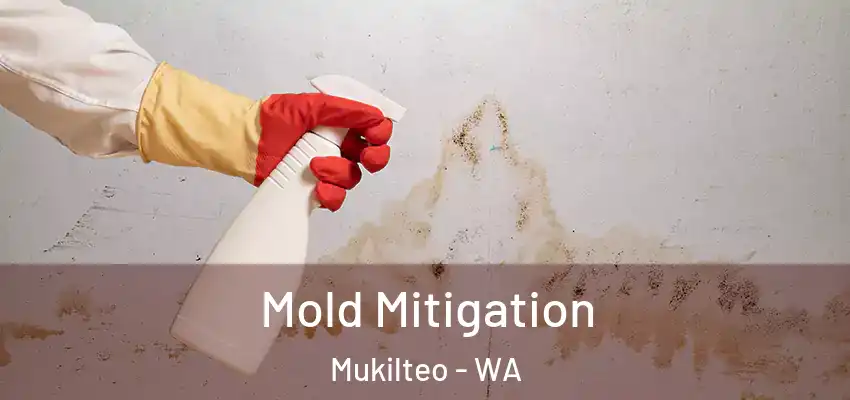  Mold Mitigation Mukilteo - WA
