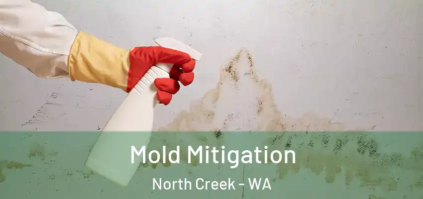  Mold Mitigation North Creek - WA