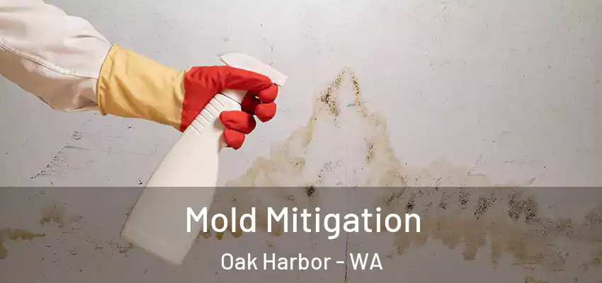 Mold Mitigation Oak Harbor - WA
