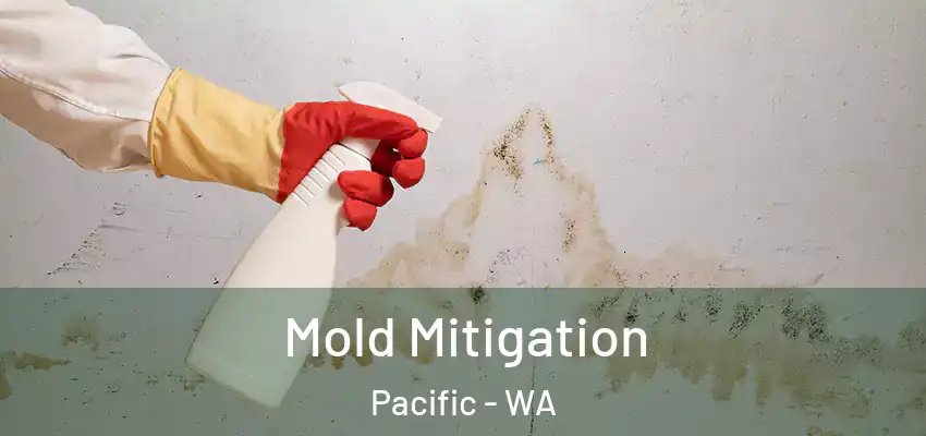  Mold Mitigation Pacific - WA