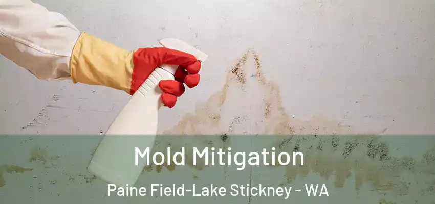  Mold Mitigation Paine Field-Lake Stickney - WA